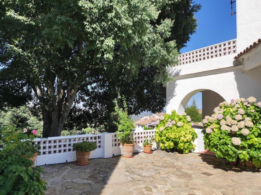 Casa Pomar - Preciosa Casa Con Piscina Y Vistas A La Sierra Villa Grazalema Exterior photo